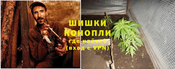 дурь Алзамай