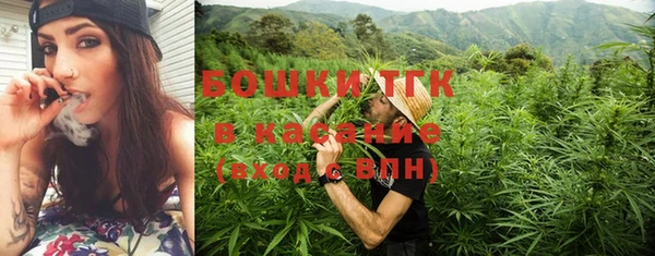 дурь Алзамай