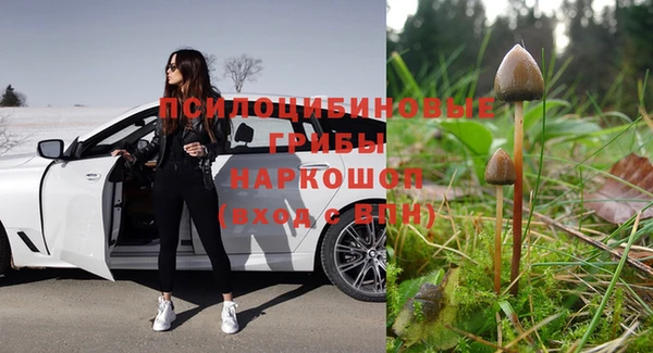 a pvp Алексеевка