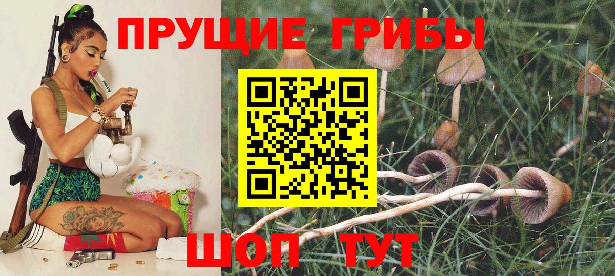 Галлюциногенные грибы Psilocybine cubensis  Вход с VPN  Новоалтайск 